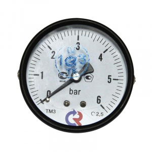 Манометр аксиальный 6 бар 1/4" ТМ-310Т Росма