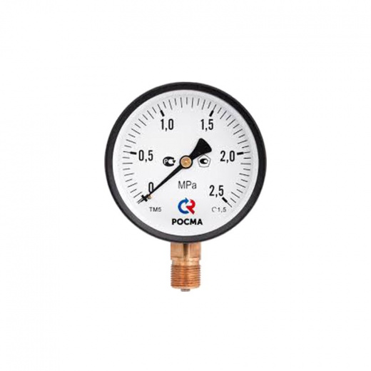 Манометр радиальный 6 бар 1/4" ТМ-310Р Росма