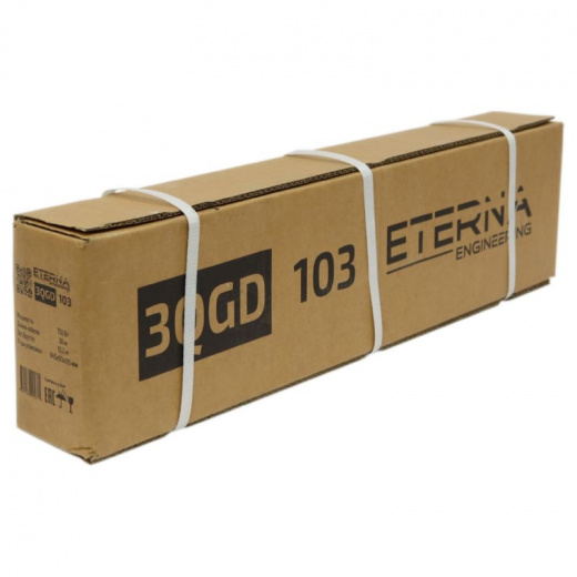 Насос погружной винтовой Eterna 3QGD-103