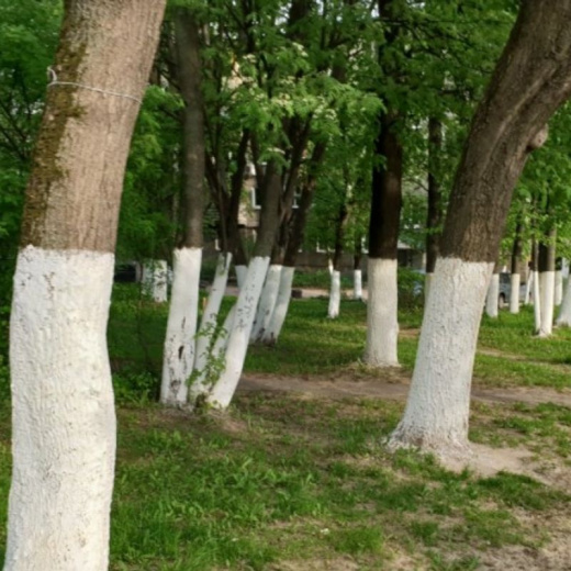 Побелка садовая с медным купоросом 0,5 кг