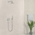 Душевая лейка Hansgrohe Crometta 1jet 26331400